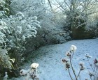 Picture for song 'Good King Wenceslas' by artist 'Christmas Muse'