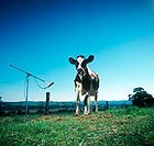 Picture for song 'subway hide and seek' by artist 'Christopher Rush'