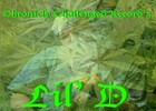 Picture for song 'A THUGS LIFE **OPEN COLAB HIT ME UP IF U DOWN**' by artist 'CHRONICLY CHALLENGED RECORDS'