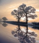 Picture for song 'contemplation' by artist 'Chukura'