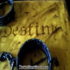 Picture for song 'Destiny (Radio Edit)' by artist 'Clint Crisher'