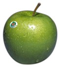 Picture for song 'granny smith' by artist 'coco crispy'