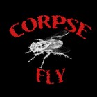 Picture for song 'The Voices Within' by artist 'Corpse Fly'