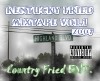 Picture for song 'Track 2' by artist 'Country Fried ENT'