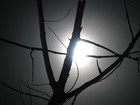 Picture for song 'Darkening Night' by artist 'Craig Pitcher'
