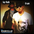 Picture for song 'Unidentical - Its My Turn (Feat. Riggs)' by artist 'CRAM'