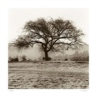 Picture for song 'Cloud 9' by artist 'C Ray Jones'