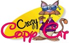 Picture for song 'Freedom' by artist 'Crazy Copy Cat'