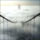 Picture for song 'Cutting the bridges in half' by artist 'Crazy Fire Yellas'