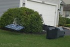 Picture for song 'Early Morning in Them Bushes (March 4)' by artist 'DaHouseOfBeats.com'