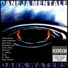 Picture for song 'Real Hip-Hop' by artist 'Daneja Mentale'