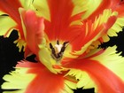 Picture for song 'EL BORRACHO QUE LLEVO ADENTRO ( folk) d canueto' by artist 'DANIEL CANUETO'