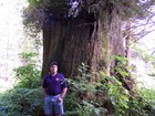 Picture for song 'Ron Daniels on KLAV 1230 AM' by artist 'Daniels Wood Land'