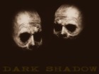 Picture for song 'Trapped' by artist 'Dark Shadow Music'
