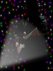 Picture for song 'PLEDGING MY LOVE' by artist 'Dave Sandland'