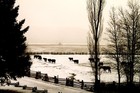 Picture for song 'Come Softly on the Morrow' by artist 'David Benning'