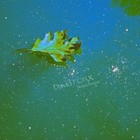 Picture for song 'Metallic drops' by artist 'David FOXX'