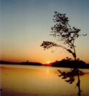 Picture for song 'Hidden Away' by artist 'Deep Renewal'