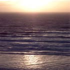 Picture for song 'Tender' by artist 'Delgrady'