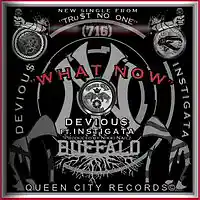 Picture for song 'What Now Ft. Instigata' by artist 'King DeviouS One'