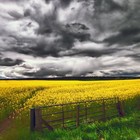 Picture for song 'PEACEFUL DESTRUCTION (FREE DL)' by artist 'Diamond Bezel Productions'