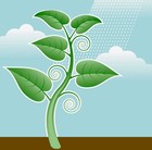 Picture for song 'Hope is Like a Seed' by artist 'Diane Hurst- Songwriter'