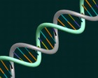 Picture for song 'Jumping DNA' by artist 'Diego Music Creations'