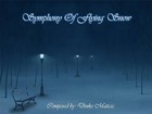 Picture for song 'Symphony Of Flying Snow' by artist 'Dinko Maticic'