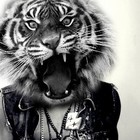 Picture for song 'The Clone Killer - @Dirty__Vans' by artist 'DirtyVansMusic'