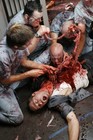 Picture for song 'Zombies' by artist 'DistortionSix'