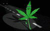 Picture for song 'drug traffic' by artist 'dj edmarster aka(et saxon)'