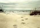 Picture for song 'Walk with me Lord' by artist 'DJ JLarge'