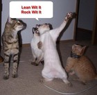 Picture for song 'LEAN DEN I ROKK ( SHUFFLE & POP )' by artist 'DJ KREEP - FAMO KLICK (SKE)'