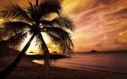 Picture for song 'Funky Fly' by artist 'DJ L.B.C.'