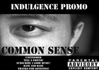 Picture for song 'Indulgence (Promo)' by artist 'Dj Mp3'