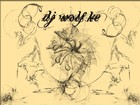 Picture for song 'new life' by artist 'Dj Wolf Ke'