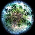 Picture for song 'To the Top' by artist 'Doc Jones Productions'