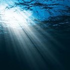 Picture for song 'KATIE IS LIKE OCEAN BREEZE - To Kathyrn With Love' by artist 'Dr. Bob's Jazz - Benefit Boppin' Quartet - JBBQ'