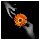 Picture for song 'TENDERLY WITH LOVE - Just For You Baby - (7:30 LP)' by artist 'Dr. Bob's Jazz - Benefit Boppin' Quartet - JBBQ'