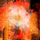 Picture for song 'Astral Groove.mp3' by artist 'Dr. Droxy'