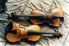 Picture for song 'Violin Danzante' by artist 'Dreams Dancer'