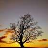Picture for song 'Wind Of Change (Hawkwind cover)' by artist 'Dreamsong'