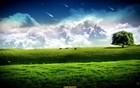 Picture for song 'Freshy Freshy' by artist 'Dred'