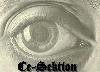 cover pic