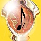 Picture for song 'kobb' by artist 'dr philgoode guitaralien'