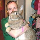 Picture for song 'Primo Verb (instrumental)' by artist 'Drumsynth'