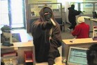 Picture for song 'Its A Robbery' by artist 'Dstar Beats'