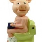 Picture for song 'Dogs Messin With a Skunk Again (TCElliott)' by artist 'Duane Clancy (aka) Clanloch'