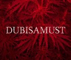 Picture for song 'little diamond' by artist 'dubisamust'