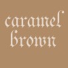 Picture for song 'Caramel Brown' by artist 'Dynamic D (PRODUCER)'